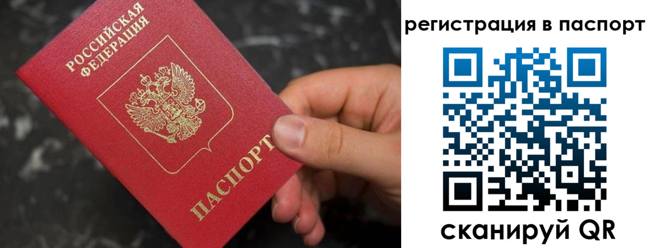 прописка для работы в Коле